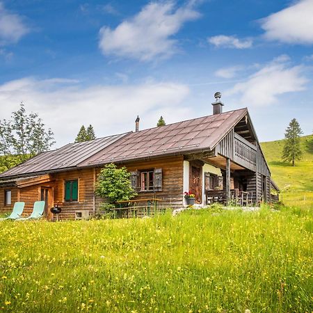 Schnaitstadl-Alm Selbstversorgerhuette Krispl 외부 사진